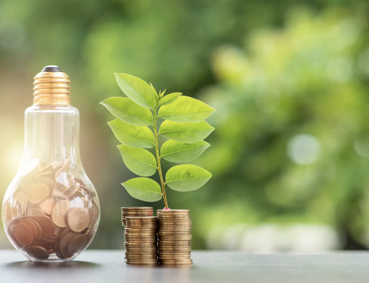 Energieausweise - Harsche Energieberatung